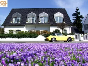 Blog 4 Bungalow house
